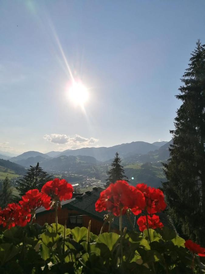 Ferienhaus Deutschmann Sankt Johann im Pongau Exteriér fotografie